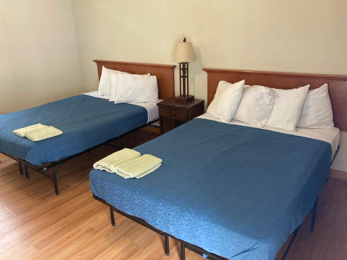 بحيرة جورج Hillside Motel المظهر الخارجي الصورة